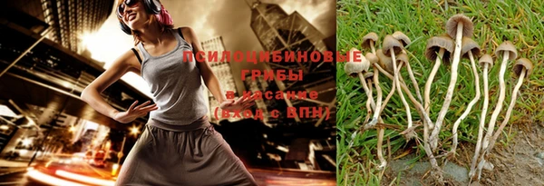бошки Осташков