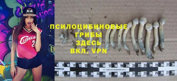 прущие крисы Алексеевка