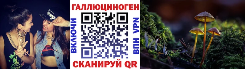Галлюциногенные грибы прущие грибы  Сясьстрой 